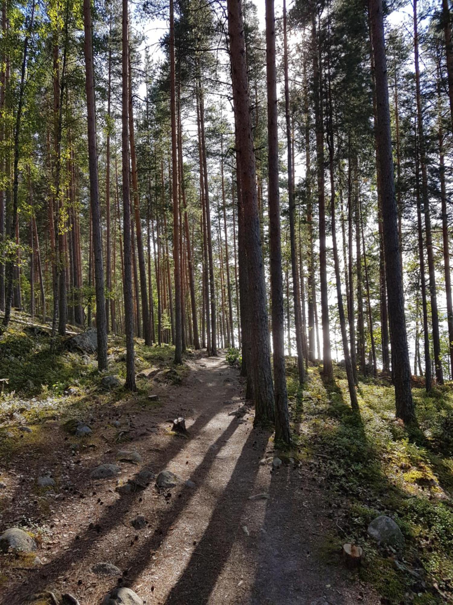 Saunalautta Sisu Virasoja Exteriör bild
